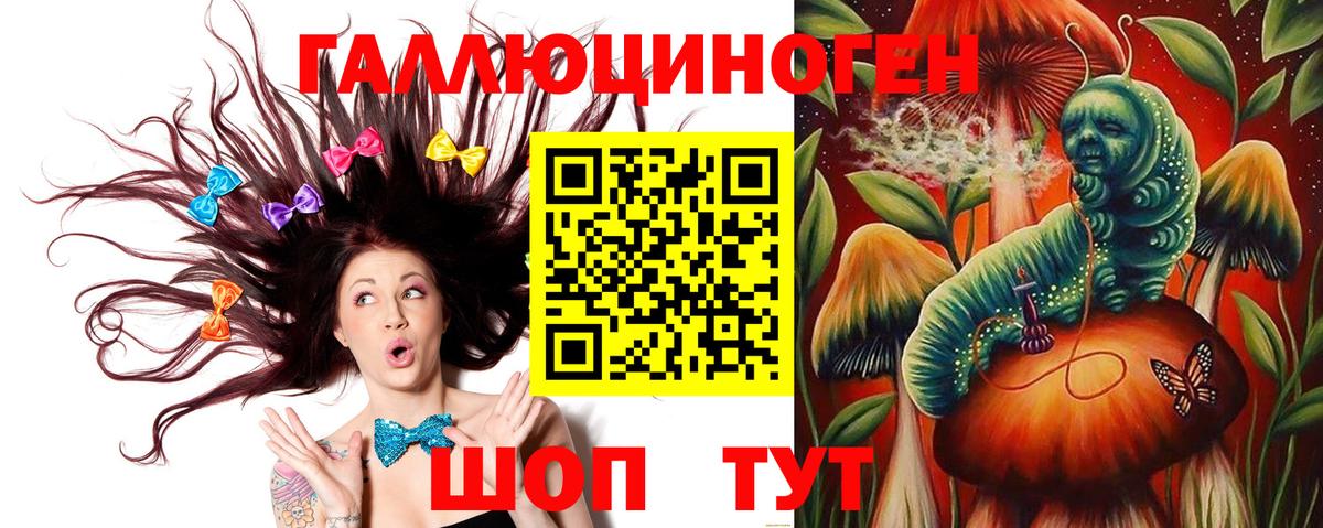 Псилоцибиновые грибы GOLDEN TEACHER  Вход с VPN  Псилоцибиновые грибы Magic Shrooms  Качканар 